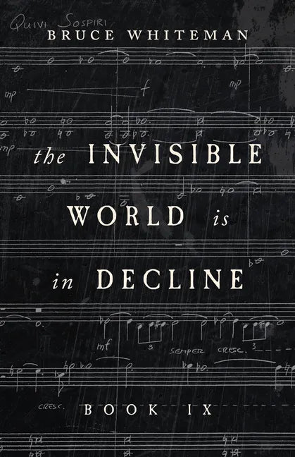 The Invisible World Is in Decline Book IX - Paperback