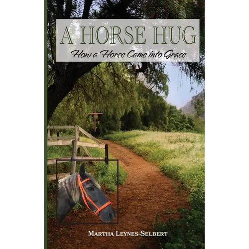 A Horse Hug: How a Horse Came into Grace - Paperback