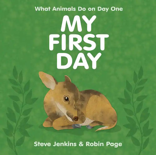 My First Day - Hardcover