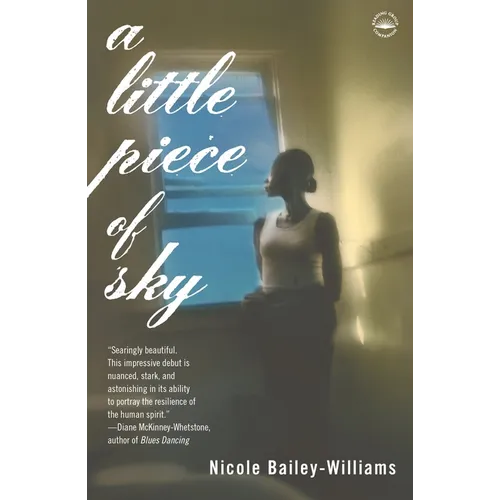 A Little Piece of Sky - Paperback