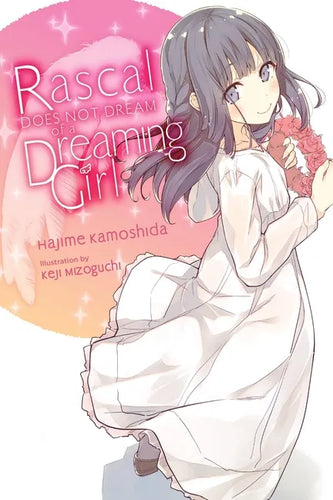 Rascal Does Not Dream of a Dreaming Girl (Light Novel) - Paperback