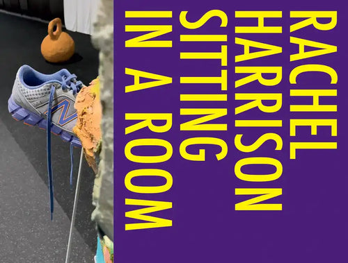 Rachel Harrison: Sitting in a Room - Hardcover
