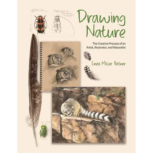 Drawing Nature: The Creative Process of an Artist, Illustrator, and Naturalist - Hardcover