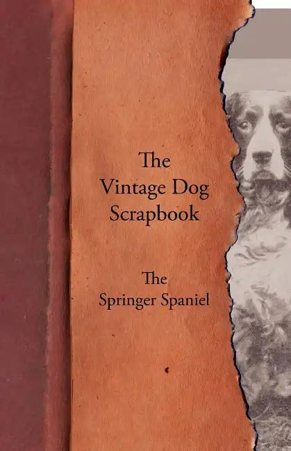The Vintage Dog Scrapbook - The Springer Spaniel - Paperback