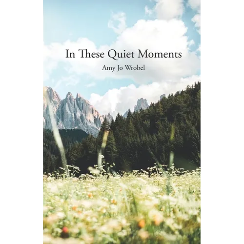 In These Quiet Moments - Paperback