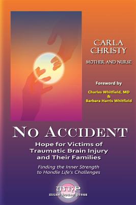 No Accident: Hope for Victims of Traumatic Brain Injury and Their Families - Paperback