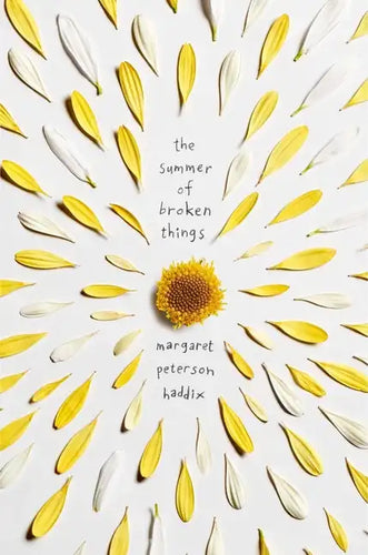 The Summer of Broken Things - Paperback