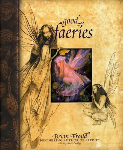 Good Faeries/Bad Faeries - Hardcover
