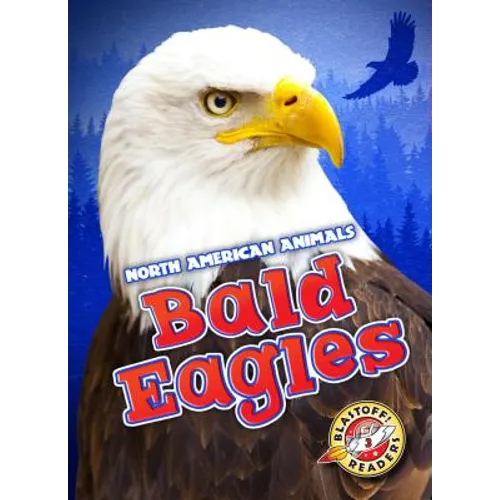 Bald Eagles - Paperback
