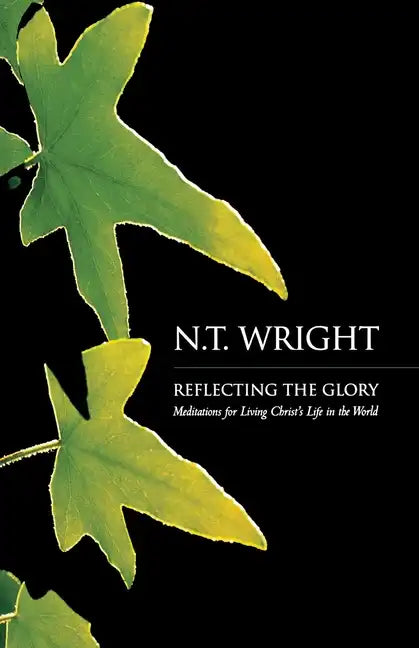 Reflecting the Glory - Paperback