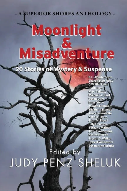 Moonlight & Misadventure: 20 Stories of Mystery & Suspense - Paperback