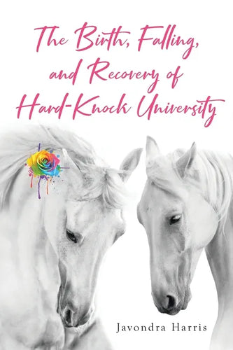 The Birth, Falling, and Recovery of Hard-Knock University - Paperback