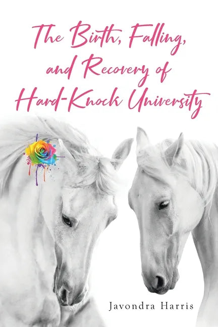 The Birth, Falling, and Recovery of Hard-Knock University - Paperback