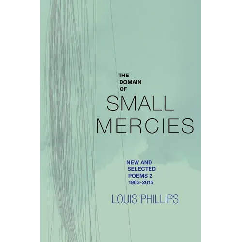 The Domain of Small Mercies - Paperback