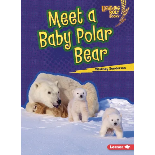 Meet a Baby Polar Bear - Paperback