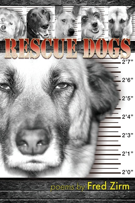 Rescue Dogs - Paperback