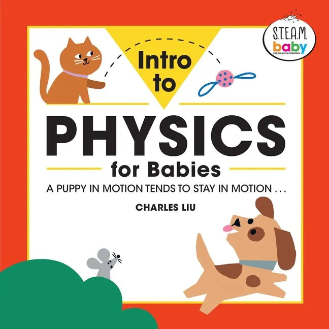 Intro to Physics for Babies - Paperback