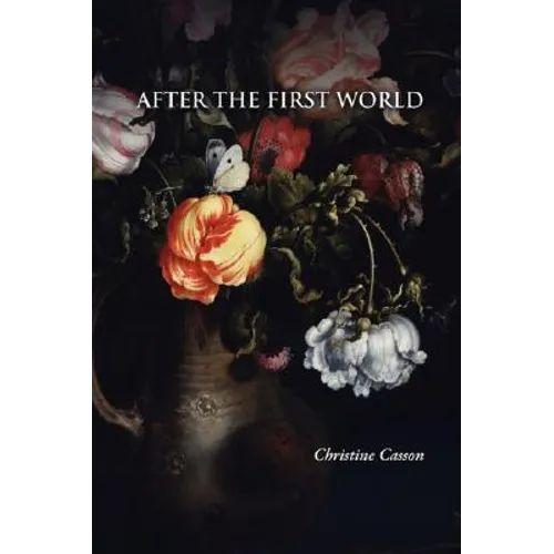 After the First World - Paperback