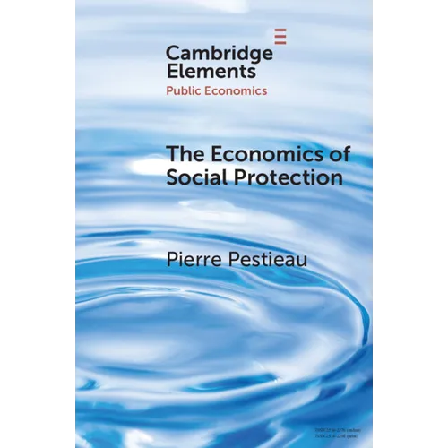 The Economics of Social Protection - Paperback