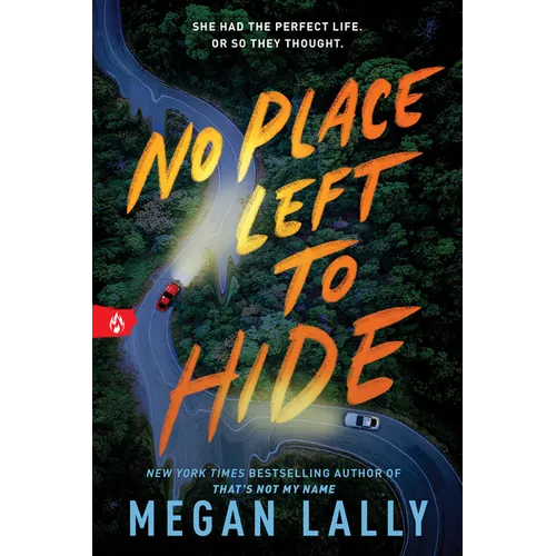 No Place Left to Hide - Paperback