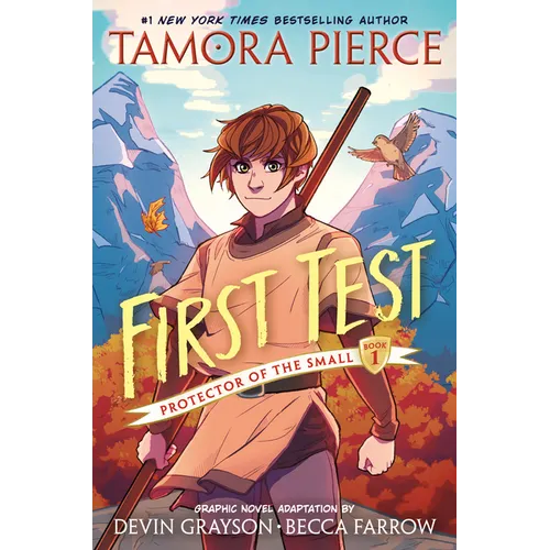First Test Graphic Novel: (A Graphic Novel) - Paperback