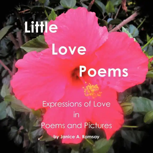 Little Love Poems - Paperback