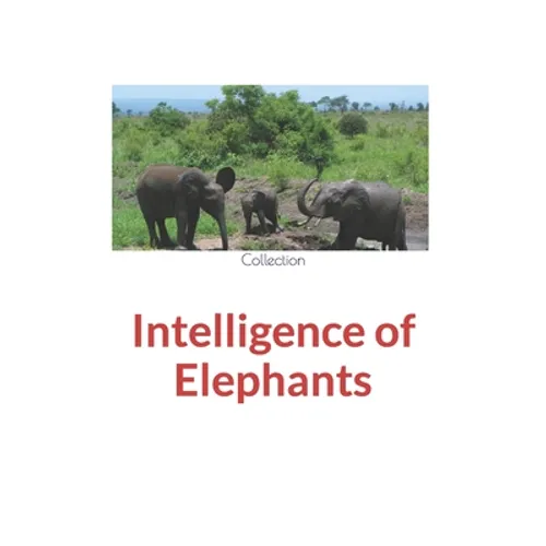 Intelligence of Elephants - Paperback