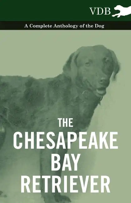 The Chesapeake Bay Retriever - A Complete Anthology of the Dog - - Paperback