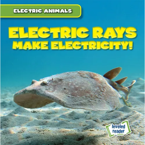 Electric Rays Make Electricity! - Library Binding
