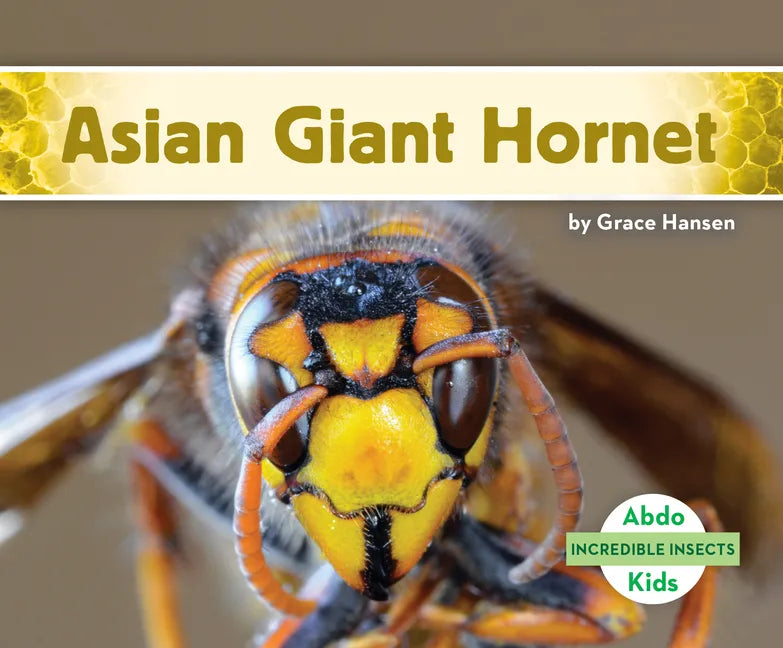 Asian Giant Hornet - Library Binding