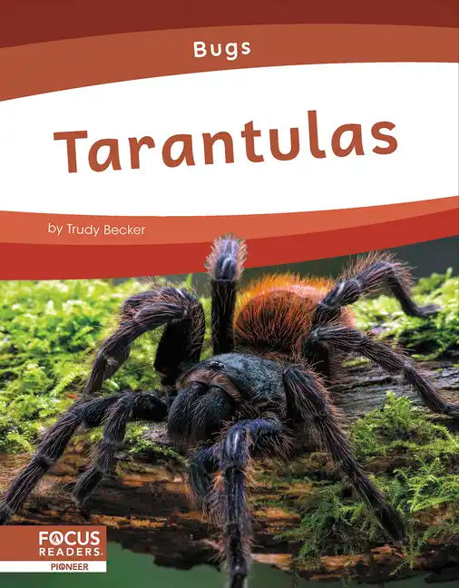 Tarantulas - Paperback