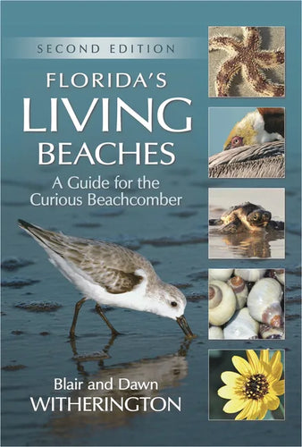 Florida's Living Beaches: A Guide for the Curious Beachcomber - Paperback