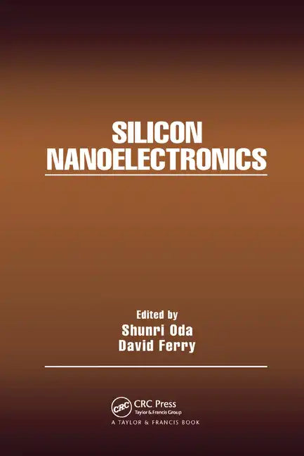 Silicon Nanoelectronics - Paperback