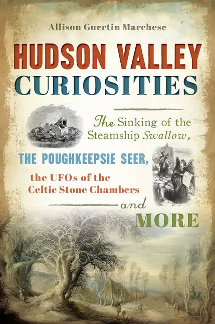 Hudson Valley Curiosities: The Sinking of the Steamship Swallow, the Poughkeepsie Seer, the UFOs of the Celtic Stone Chambers and More - Paperback
