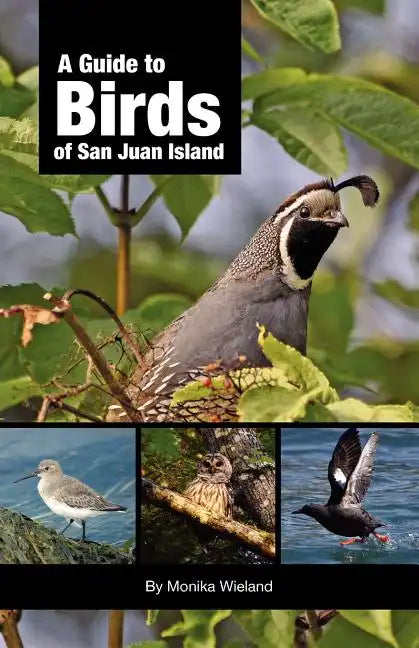 A Guide to Birds of San Juan Island - Paperback