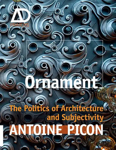 Ornament: The Politics of Architecture and Subjectivity - Paperback