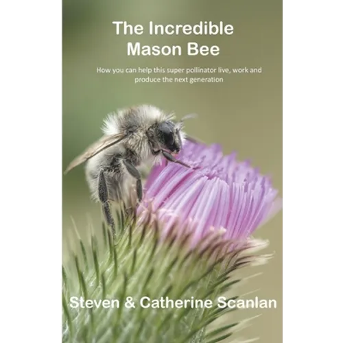 Incredible Mason Bee - Paperback