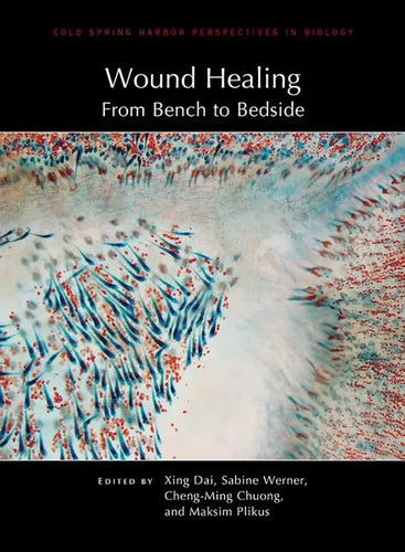 Wound Healing: From Bench to Bedside - Hardcover