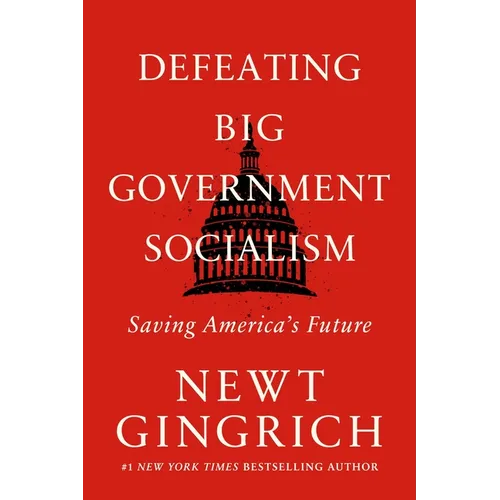 Defeating Big Government Socialism - Paperback