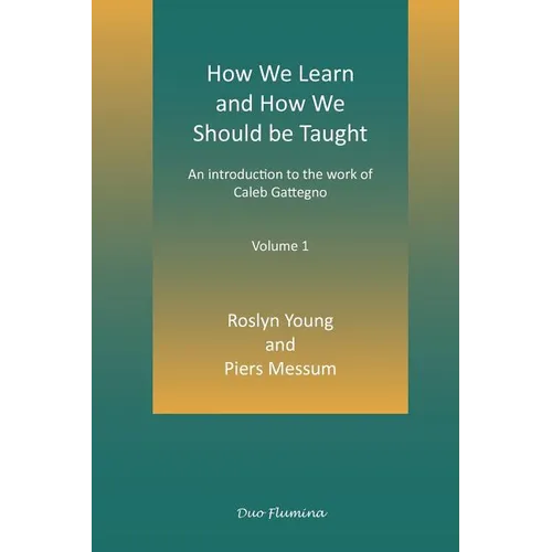 How We Learn and How We Should Be Taught - Paperback