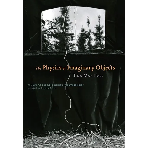 The Physics of Imaginary Objects - Paperback