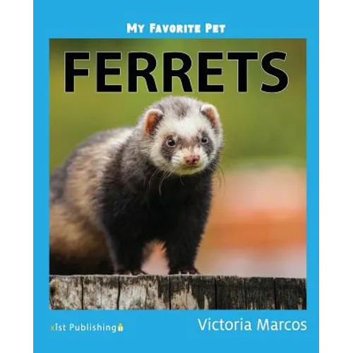 My Favorite Pet: Ferrets - Paperback