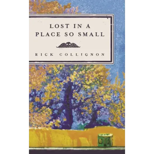 Lost in a Place So Small - Paperback