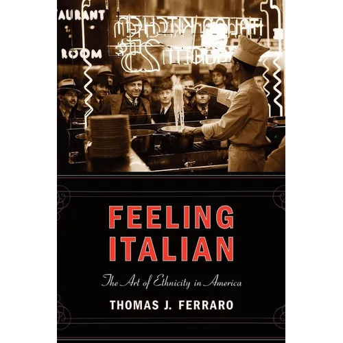 Feeling Italian: The Art of Ethnicity in America - Hardcover