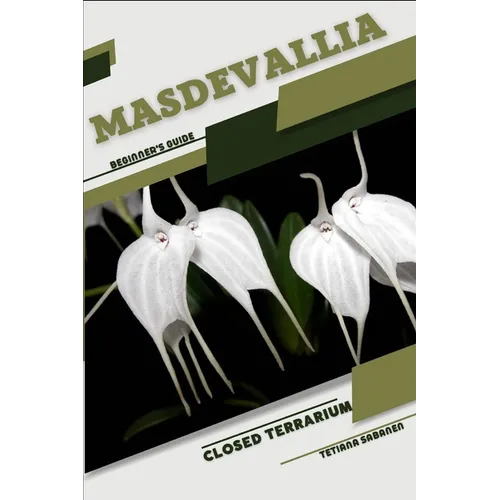 Masdevallia: Closed terrarium, Beginner's Guide