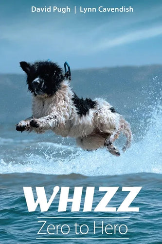 Whizz: Zero to Hero - Paperback