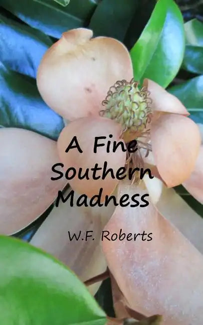 A Fine Southern Madness - Paperback