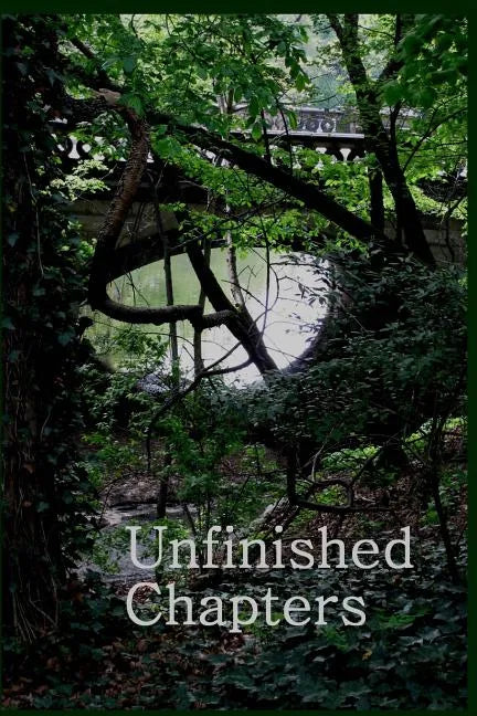 Unfinished Chapters - Paperback