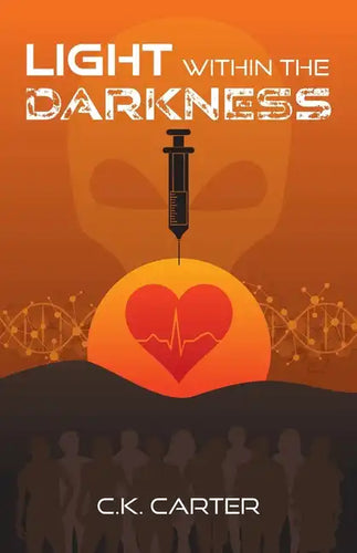 Light Within the Darkness - Paperback