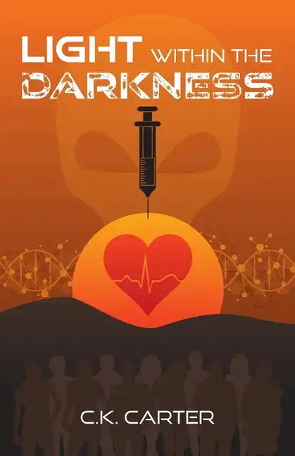 Light Within the Darkness - Paperback